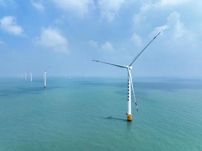 利来w66(中国区)_来利国际旗舰