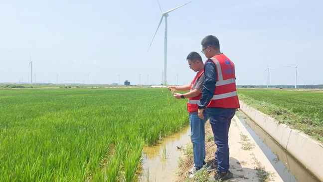 利来w66(中国区)_来利国际旗舰