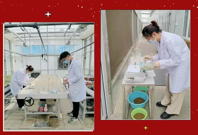 利来w66(中国区)_来利国际旗舰