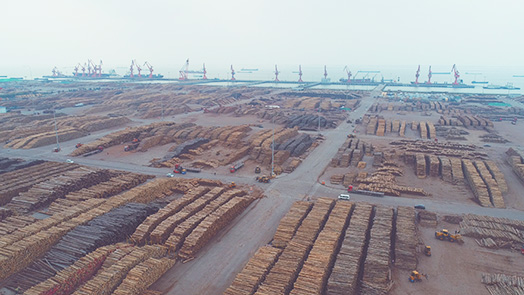 利来w66(中国区)_来利国际旗舰