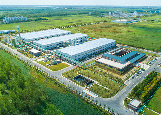 利来w66(中国区)_来利国际旗舰